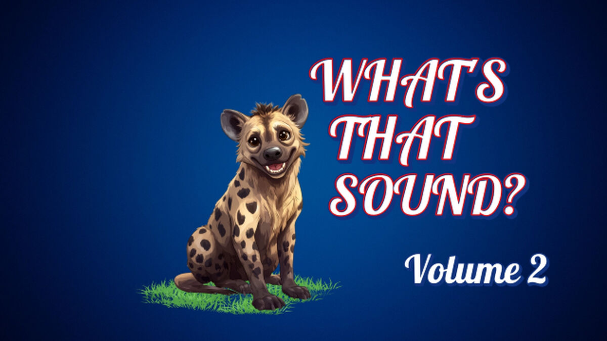 What's That Sound: Volume 2 image number 0